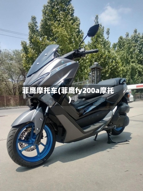 菲鹰摩托车(菲鹰fy200a摩托)-第2张图片