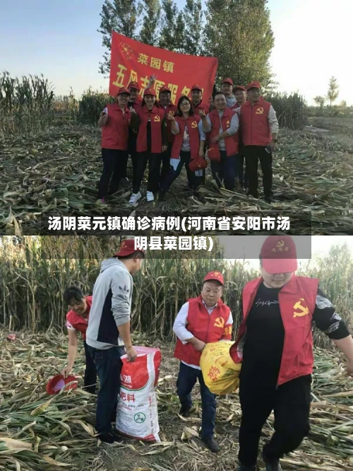 汤阴菜元镇确诊病例(河南省安阳市汤阴县菜园镇)-第2张图片