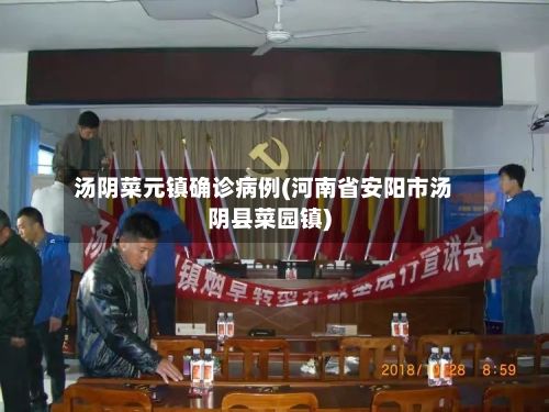 汤阴菜元镇确诊病例(河南省安阳市汤阴县菜园镇)