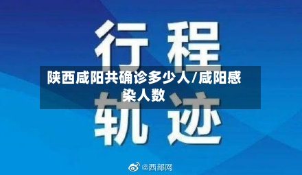 陕西咸阳共确诊多少人/咸阳感染人数