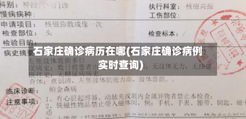 石家庄确诊病历在哪(石家庄确诊病例实时查询)-第2张图片