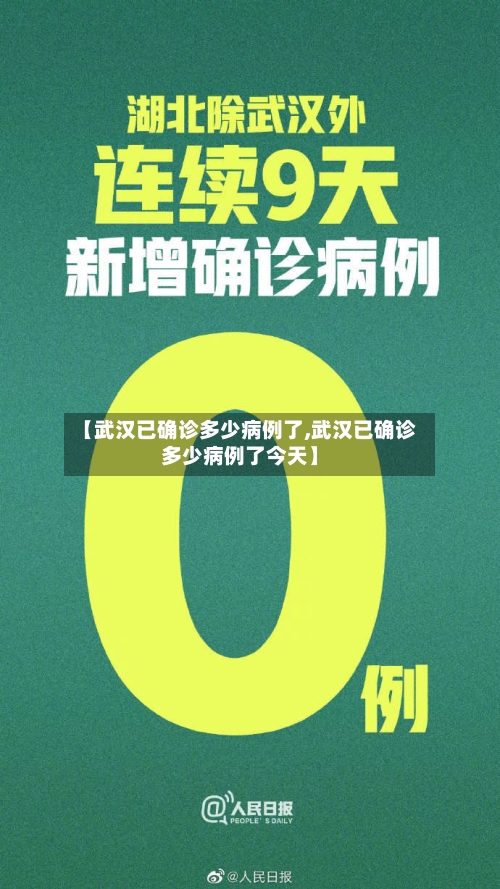 【武汉已确诊多少病例了,武汉已确诊多少病例了今天】-第3张图片