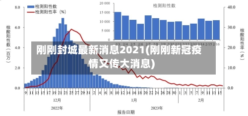 刚刚封城最新消息2021(刚刚新冠疫情又传大消息)-第3张图片