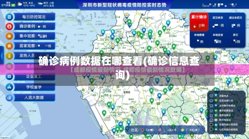 确诊病例数据在哪查看(确诊信息查询)-第2张图片