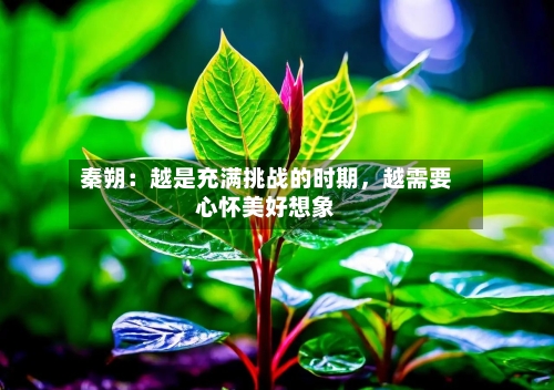 秦朔:越是充满挑战的时期,越需要心怀美好想象
