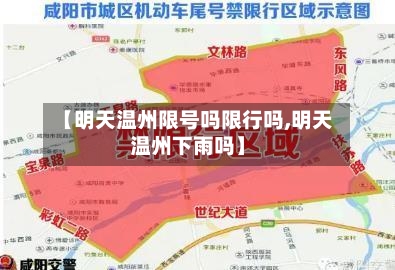 【明天温州限号吗限行吗,明天温州下雨吗】-第2张图片