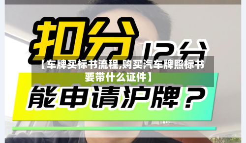 【车牌买标书流程,购买汽车牌照标书要带什么证件】-第2张图片