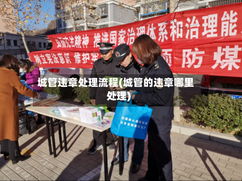 城管违章处理流程(城管的违章哪里处理)