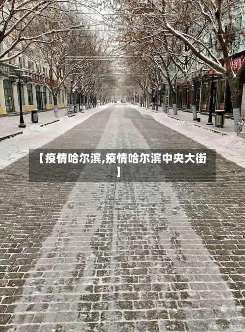 【疫情哈尔滨,疫情哈尔滨中央大街】-第3张图片