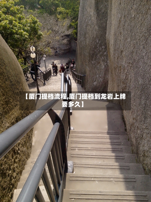 【厦门提档流程,厦门提档到龙岩上牌要多久】-第2张图片
