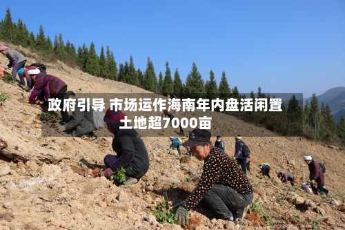 政府引导 市场运作海南年内盘活闲置土地超7000亩-第2张图片