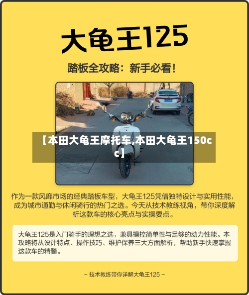 【本田大龟王摩托车,本田大龟王150cc】-第2张图片