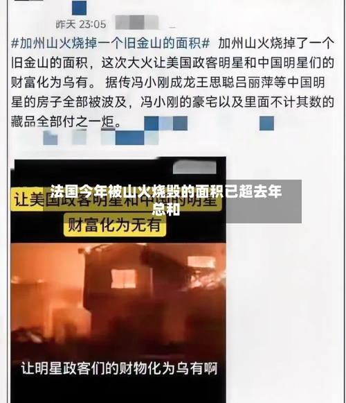 法国今年被山火烧毁的面积已超去年总和