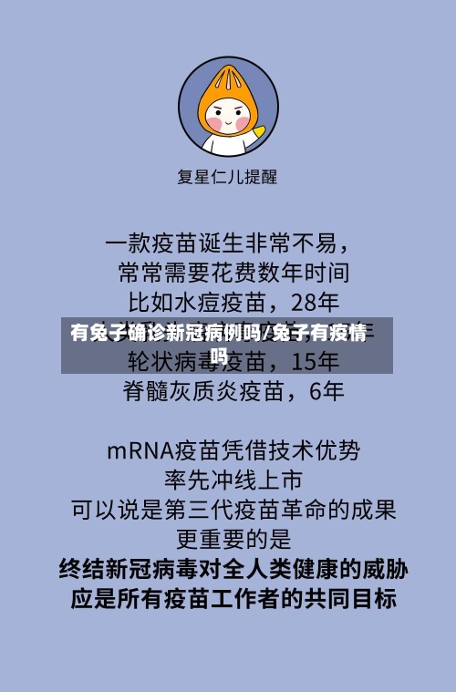 有兔子确诊新冠病例吗/兔子有疫情吗