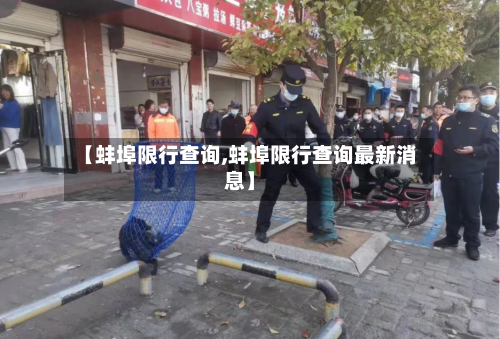 【蚌埠限行查询,蚌埠限行查询最新消息】-第2张图片