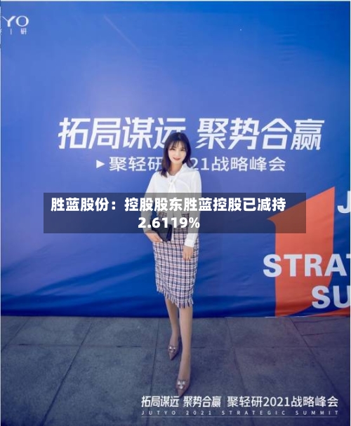 胜蓝股份：控股股东胜蓝控股已减持2.6119%