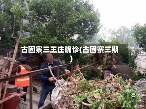 古固寨三王庄确诊(古固寨三期)