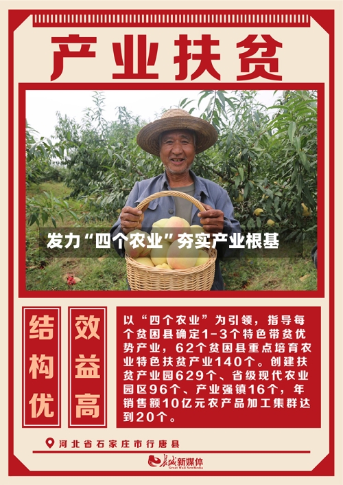 发力“四个农业”夯实产业根基-第2张图片