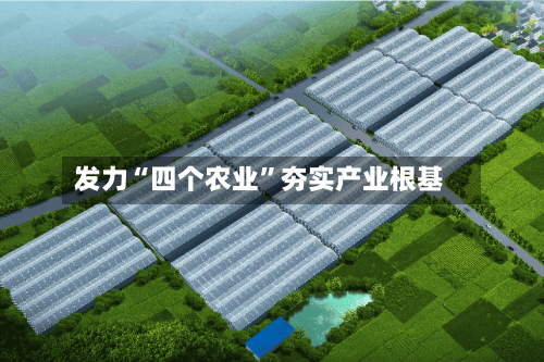 发力“四个农业”夯实产业根基-第3张图片