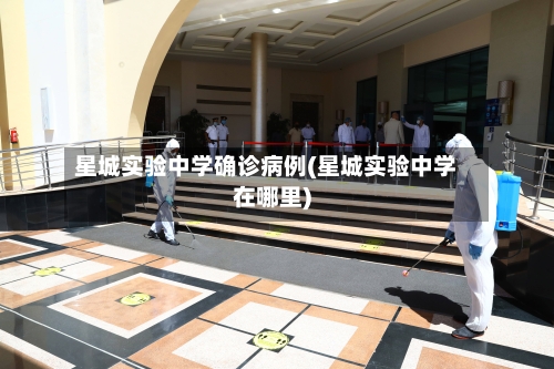 星城实验中学确诊病例(星城实验中学在哪里)-第2张图片