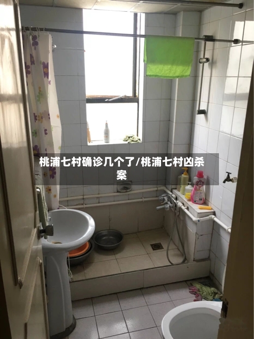 桃浦七村确诊几个了/桃浦七村凶杀案