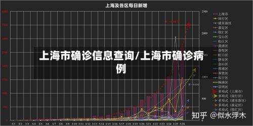 上海市确诊信息查询/上海市确诊病例