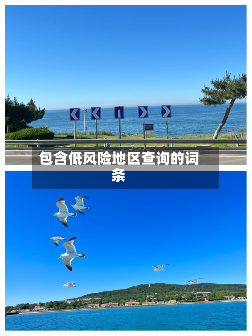包含低风险地区查询的词条-第3张图片