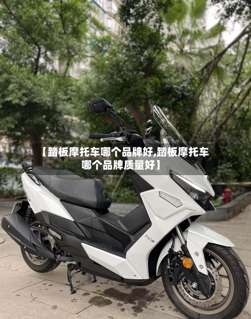 【踏板摩托车哪个品牌好,踏板摩托车哪个品牌质量好】-第2张图片