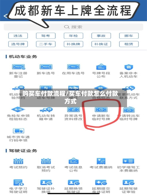 购买车付款流程/买车付款怎么付款方式