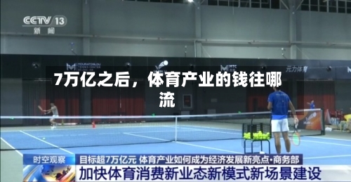 7万亿之后	，体育产业的钱往哪流-第2张图片