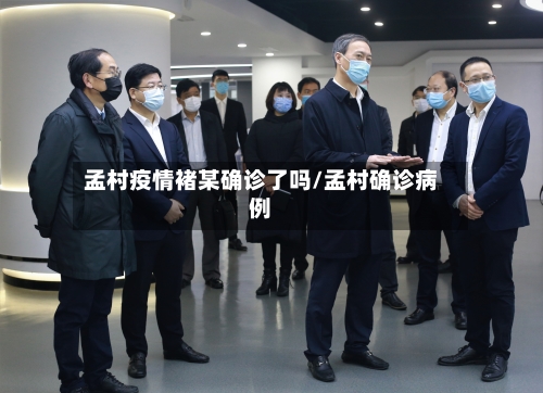 孟村疫情褚某确诊了吗/孟村确诊病例-第2张图片
