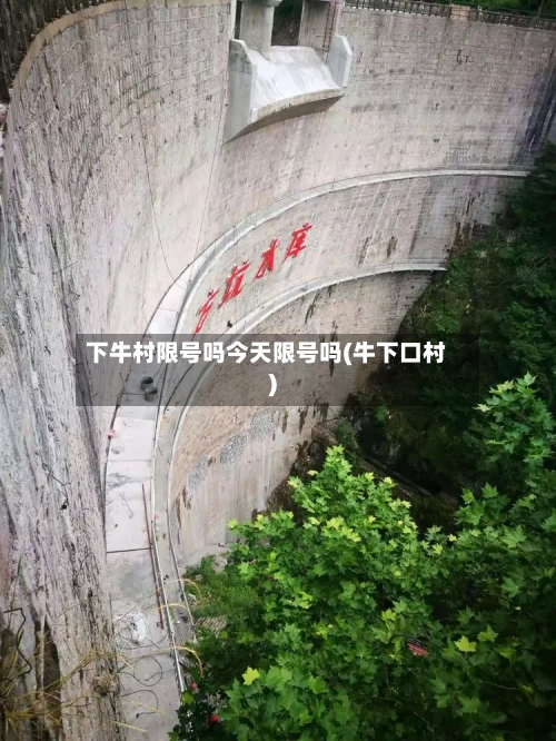 下牛村限号吗今天限号吗(牛下口村)-第2张图片