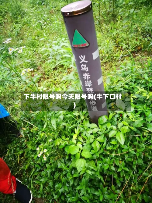 下牛村限号吗今天限号吗(牛下口村)