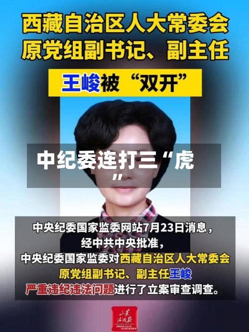 中纪委连打三“虎”-第3张图片