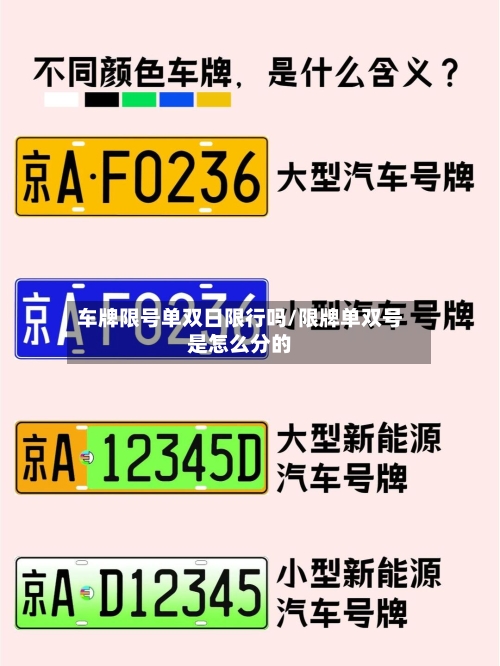 车牌限号单双日限行吗/限牌单双号是怎么分的-第2张图片