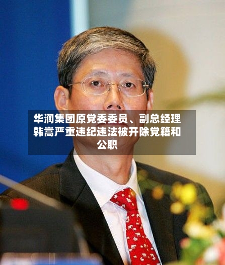 华润集团原党委委员、副总经理韩嵩严重违纪违法被开除党籍和公职
