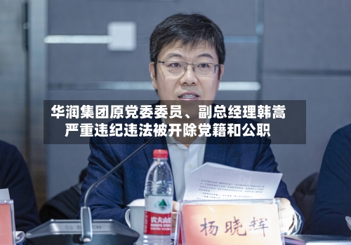 华润集团原党委委员、副总经理韩嵩严重违纪违法被开除党籍和公职-第2张图片
