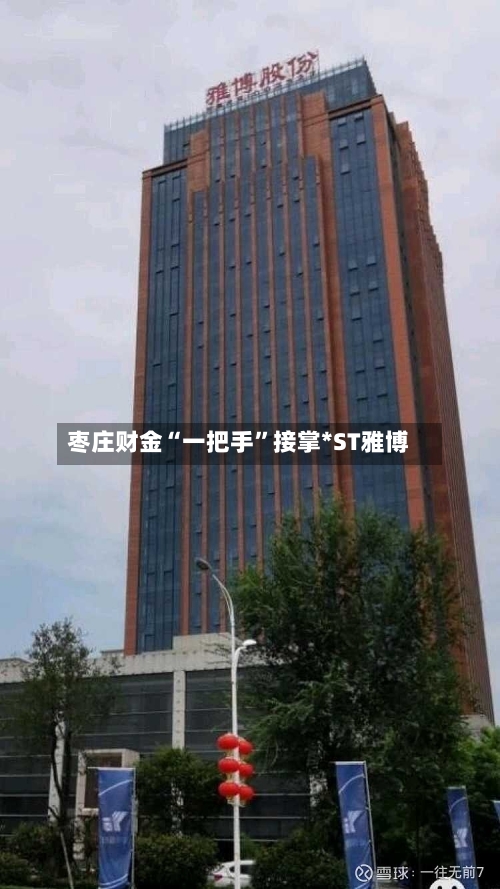 枣庄财金“一把手”接掌*ST雅博-第3张图片