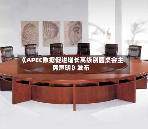 《APEC数据促进增长高级别圆桌会主席声明》发布-第3张图片