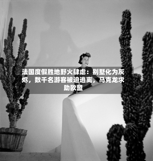 法国度假胜地野火肆虐：别墅化为灰烬，数千名游客被迫逃离	，马克龙求助欧盟-第2张图片