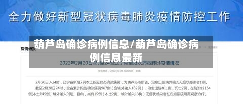 葫芦岛确诊病例信息/葫芦岛确诊病例信息最新