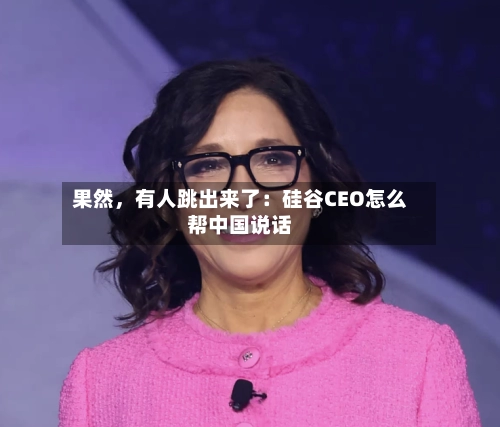 果然，有人跳出来了：硅谷CEO怎么帮中国说话-第2张图片