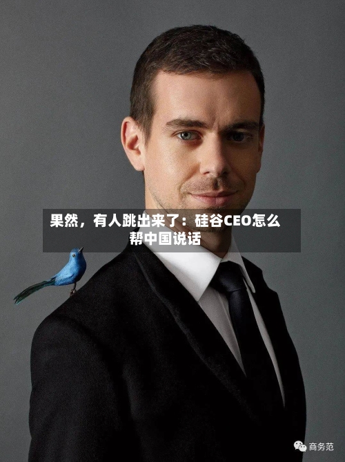 果然,有人跳出来了:硅谷CEO怎么帮中国说话
