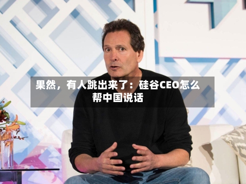 果然，有人跳出来了：硅谷CEO怎么帮中国说话-第3张图片