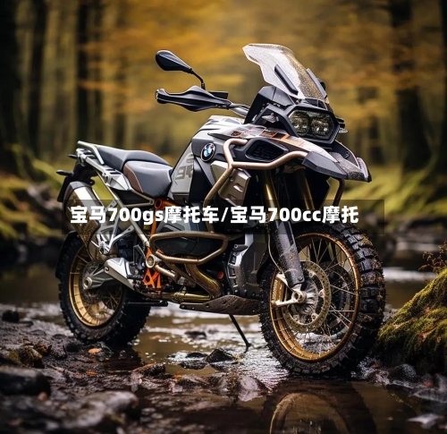 宝马700gs摩托车/宝马700cc摩托-第2张图片