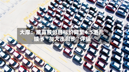 大摩：威高股份目标价降至4.5港元 续予“与大市同步”评级-第1张图片