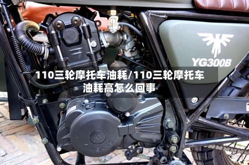 110三轮摩托车油耗/110三轮摩托车油耗高怎么回事-第3张图片
