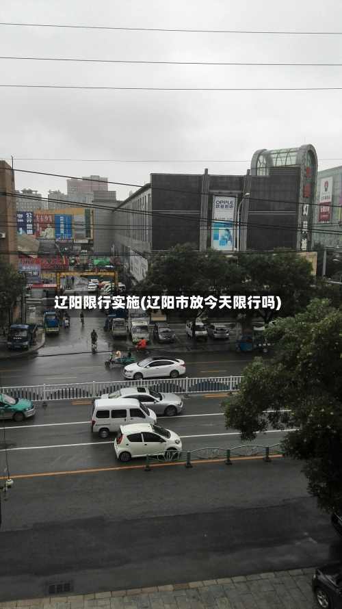 辽阳限行实施(辽阳市放今天限行吗)-第2张图片