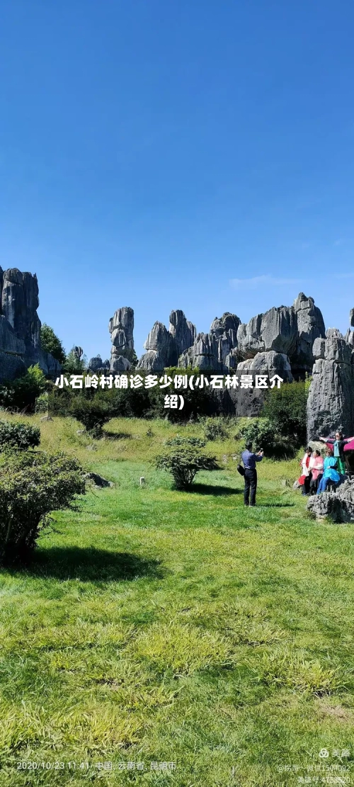 小石岭村确诊多少例(小石林景区介绍)
