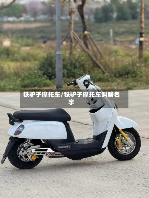 铁驴子摩托车/铁驴子摩托车叫啥名字-第2张图片